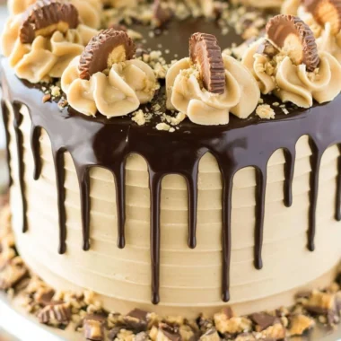 Peanut Butter Chocolate Layer Cake with rich frosting and layers